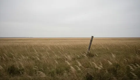 Tallgrass prairie stretching to horizon with native grasses and fence post