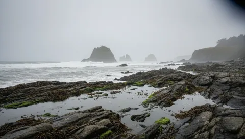 Pacific Northwest rocky coastline with tide pools and sea stacks in coastal mist