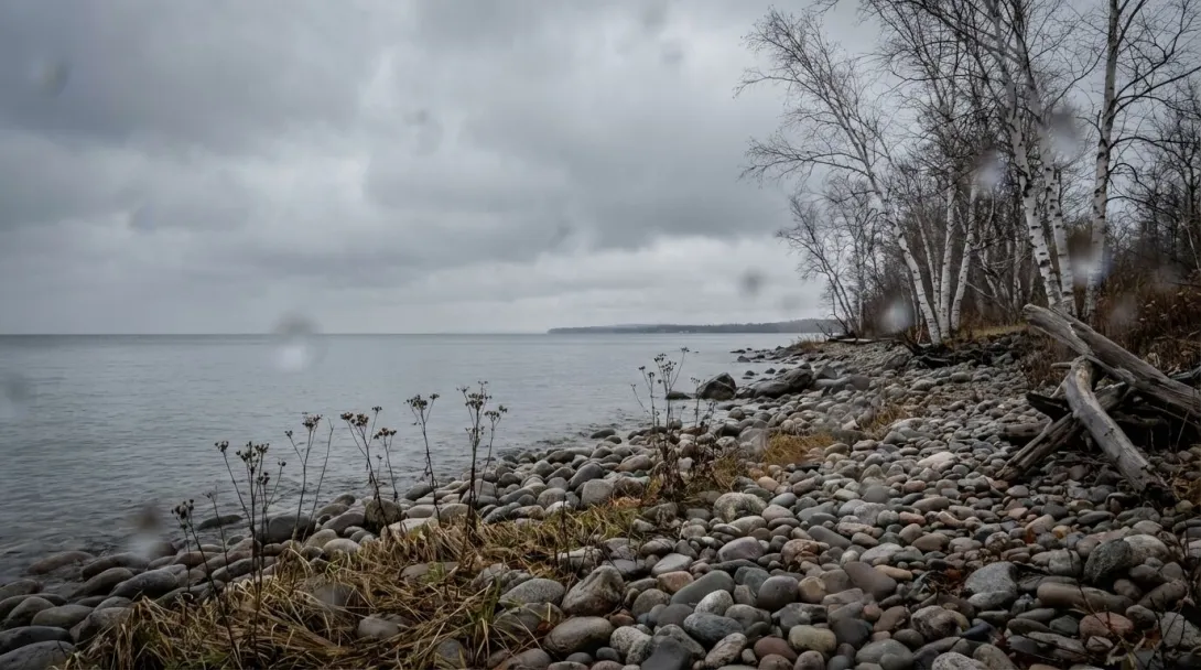 Great Lakes shoreline with rocky beach, bare birch trees, and cold gray water, early November