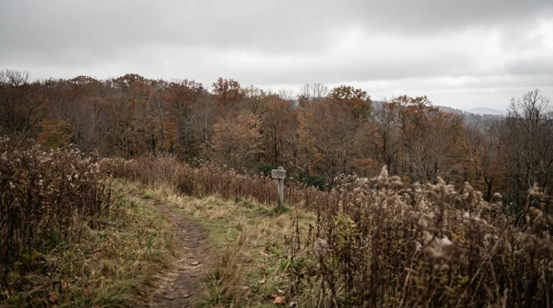 Appalachian mountain ridgeline with conservation marker on dirt path, overcast October afternoon